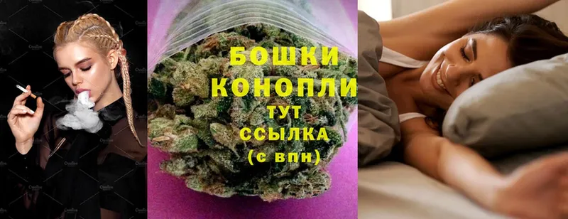 ссылка на мегу tor  купить закладку  Алексеевка  Бошки Шишки THC 21% 